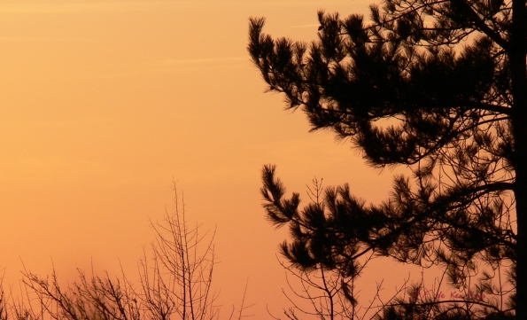 Couleurs du crepuscule